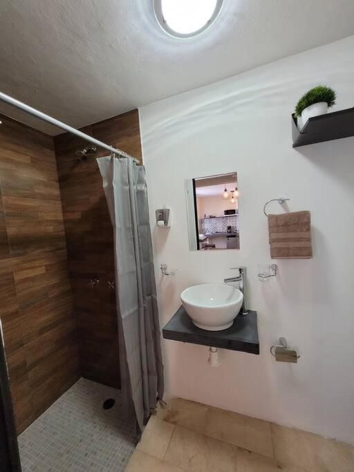 D-08novaga Downtown Apartment